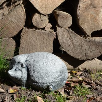 Arici incovoiat-alb/patinat-