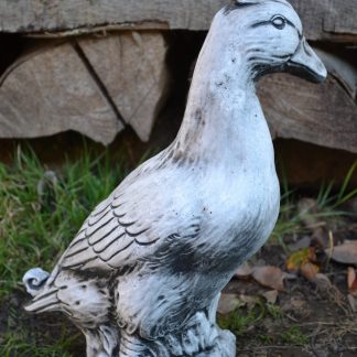 Rață mij. în picioare