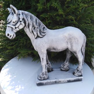 Cal în picioare-patinat/alb/colorat