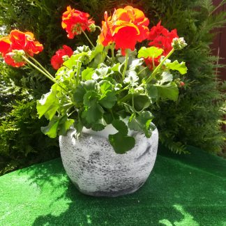 Ghiveci rotund sculptat-patinat/alb-cod-G 23