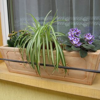 Jardinieră cu floare de colț-patinat/alb-cod- G 24