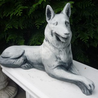 Căine lup culcat-patinat/alb