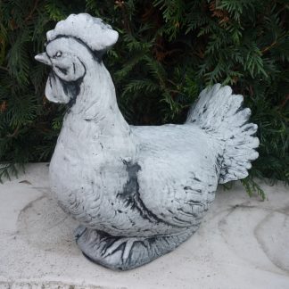 Găină culcată-alb/patinat-