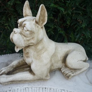 Căine Doberman mare culcat/patinat-alb