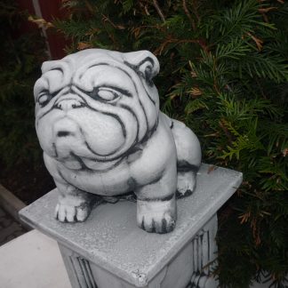 Cățel haios mij, în fund/patinat-alb