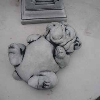 Cățel haios mare pe spate/patinat-alb