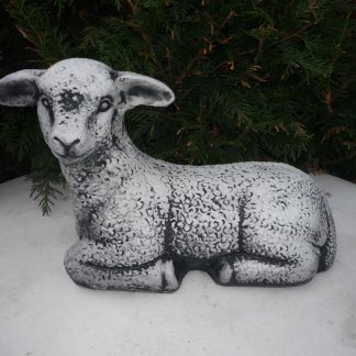 Miel  culcat cu capul ridicat-patinat/alb