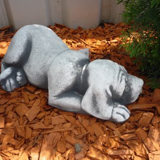 Căine Dexter culcat/patinat-alb