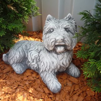 Câine Yorkshir Terrier culcat/patinat-alb