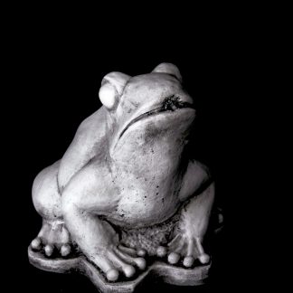 Broască mare ochioasă-alb/patinat-