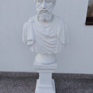 Bust Markus Aurelius-cod B 05-