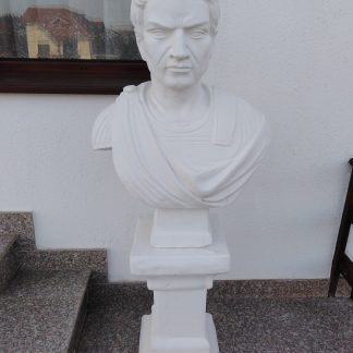 Bust Tiberius-cod- B 07