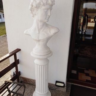 Bust David-cod-B 03