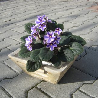 Ghiveci mic pătrat -patinat/alb- cod- G 12