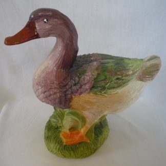 Rață sălbatică/colorat-patinat-alb