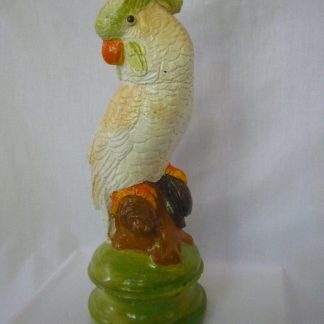 Papagal mijlociu/colorat-patinat-alb