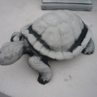 Broască țestoasă-alb/patinat-