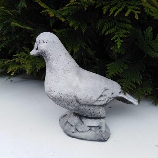 Porumbel mij. fara pene/patinat-alb