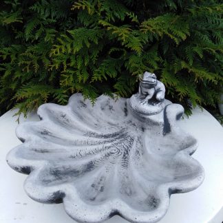 Scoică mare cu rățușcă -cod D07 -