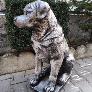 Caine Rotweiler mare/patinat-alb