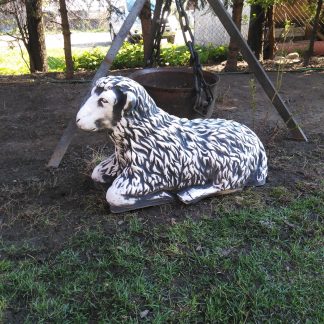 Oaie mare-cod-A85-patinat/alb