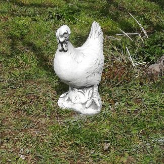 Gaina mijlocie-alb/patinat-