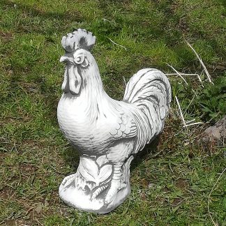 Cocos mijlociu-alb/patinat-