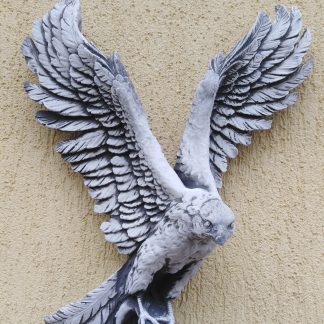 Vultur pescar - patinat/alb-